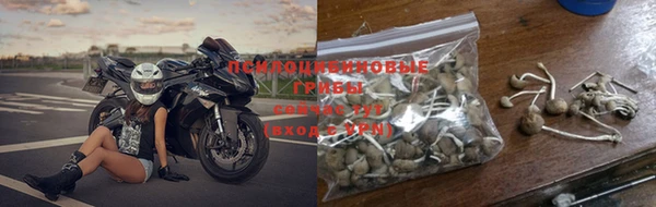 прущие крисы Новозыбков
