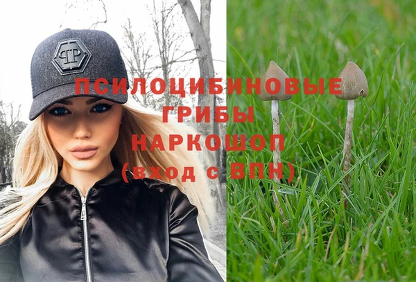 спайс Новодвинск