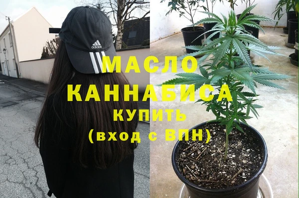 дмт Алексин