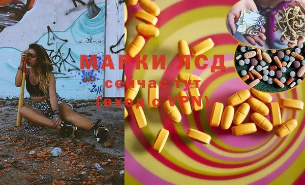 прущие крисы Новозыбков
