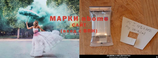 ECSTASY Алзамай