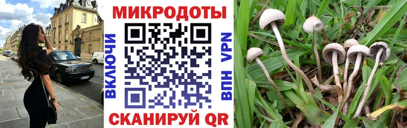 MEGA сайт  Луга  Галлюциногенные грибы MAGIC MUSHROOMS 