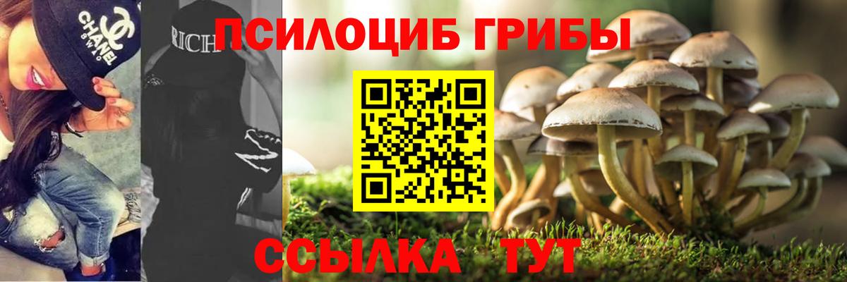 Галлюциногенные грибы Cubensis  Вход с VPN  Луга  Псилоцибиновые грибы мицелий 