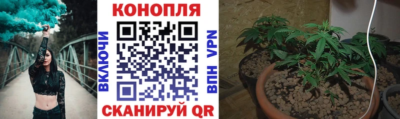 Шишки марихуана ГИДРОПОН Луга